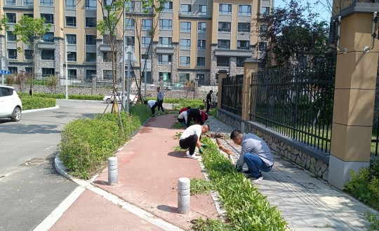 8.長白山運(yùn)營公司山河府項(xiàng)目組進(jìn)行市政道路拓荒工作_副本.jpg